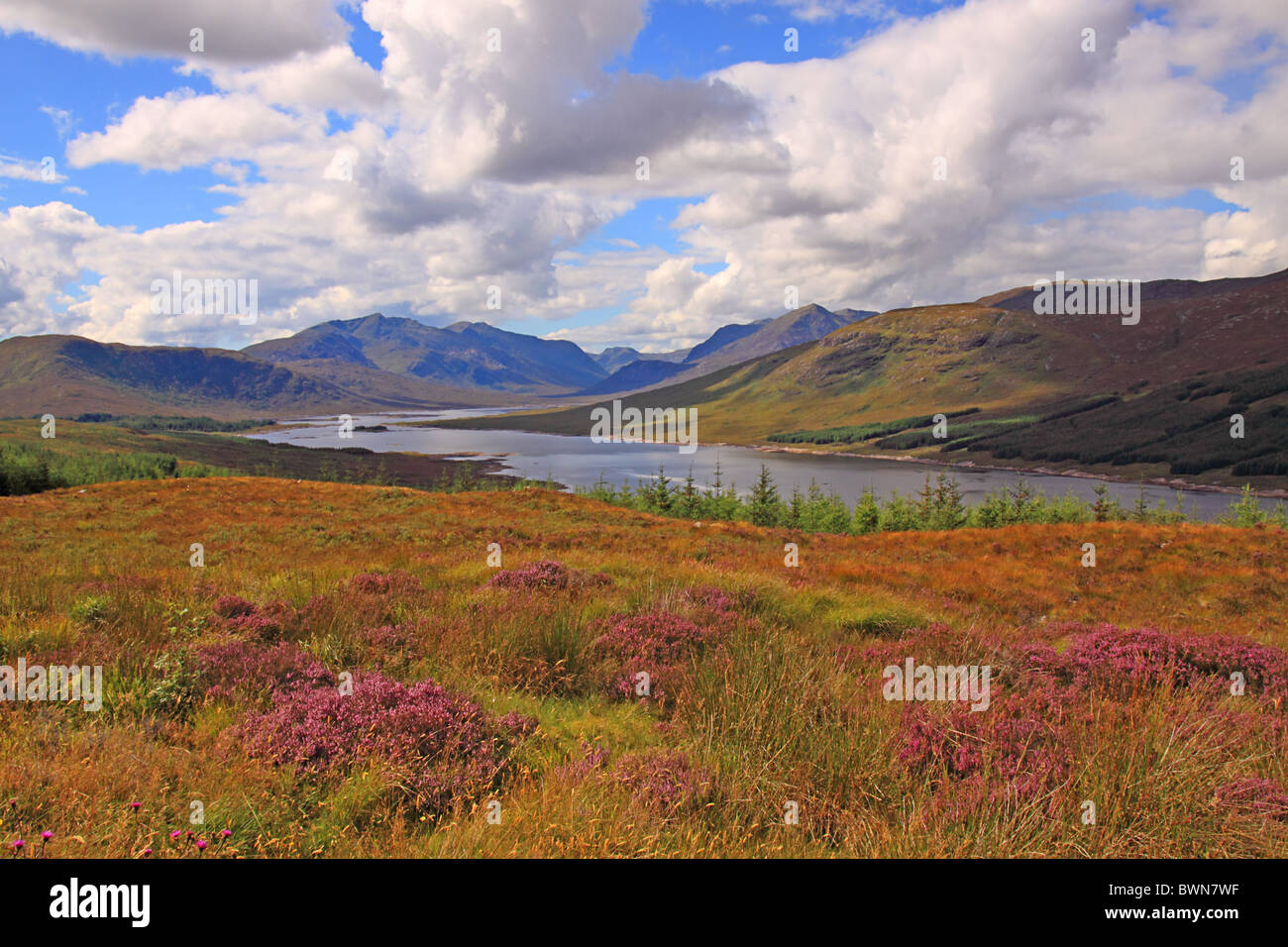 UK Scotland Inverness-shire Loch Loyne and Glen Loyne Stock Photo