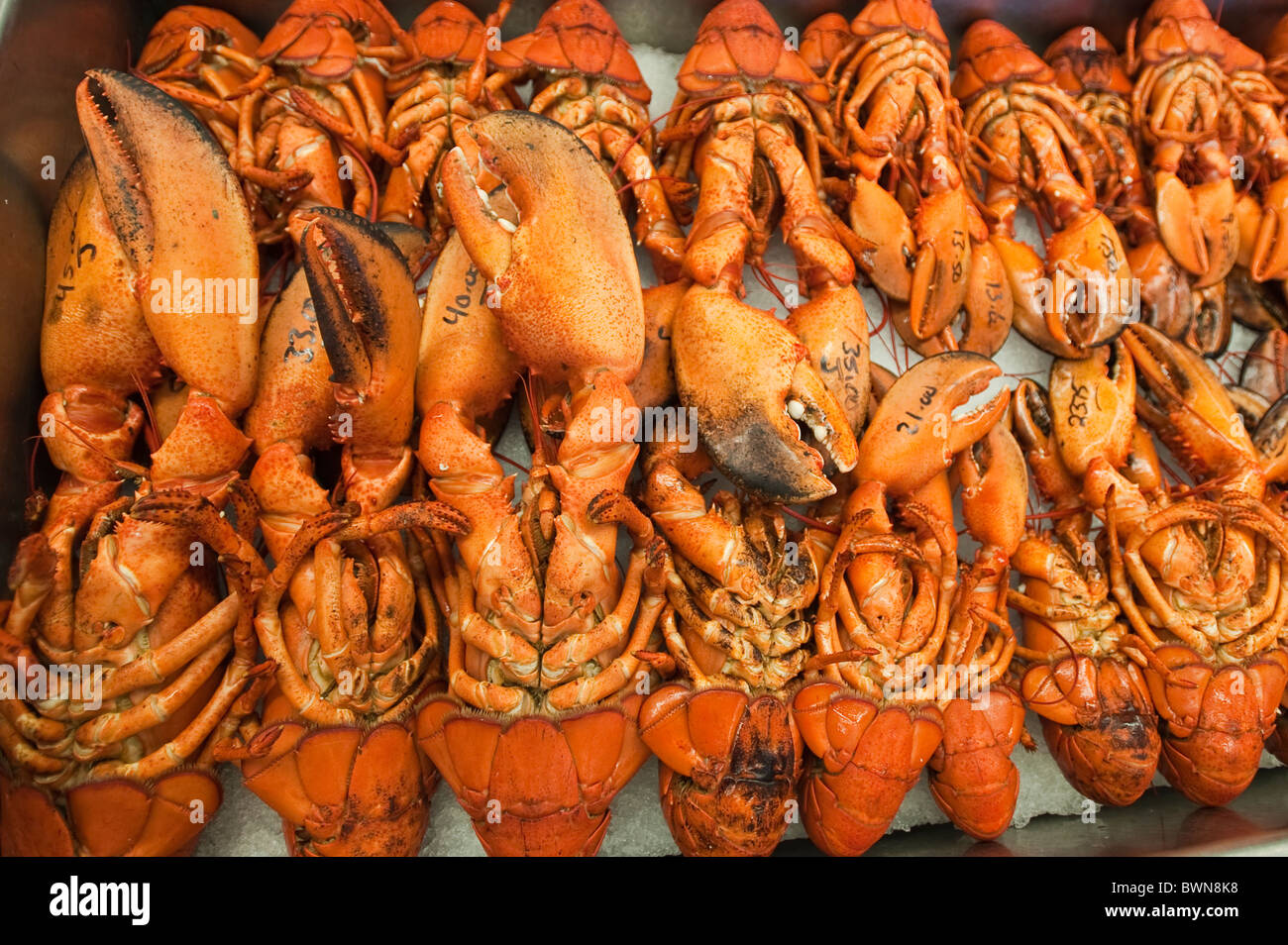 Fredericton market hires stock photography and images Alamy
