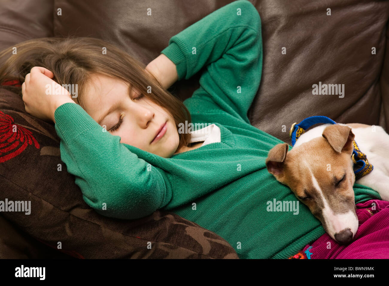 A little girl asleep with her puppy on the sofa Stock Photo - Alamy