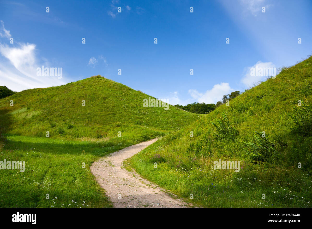 green hill, summer Stock Photo