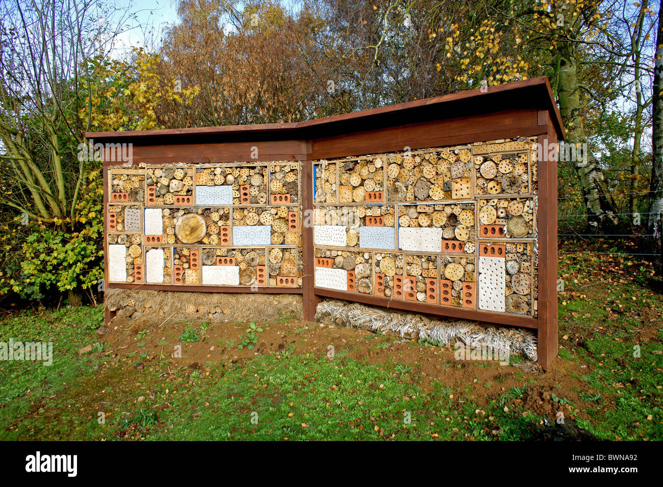 Large Insect Home Worlds largest insect hi-res stock photography and images - Alamy