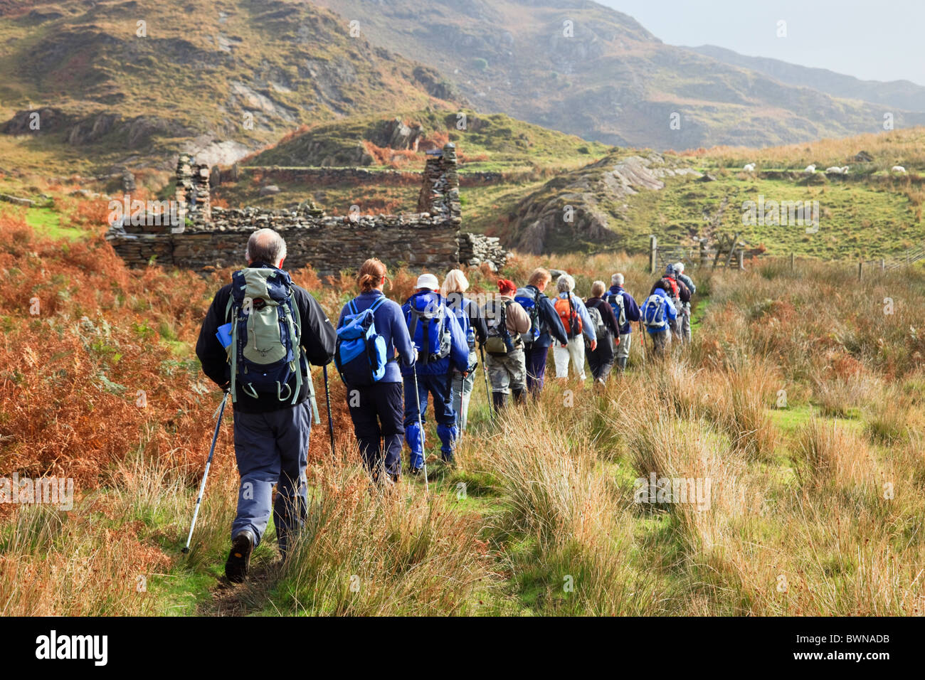 Ramblers group walk walking in the Welsh mountains of Snowdonia National Park in autumn. Nantgwynant, Gwynedd, North Wales, UK, Britain. Stock Photo