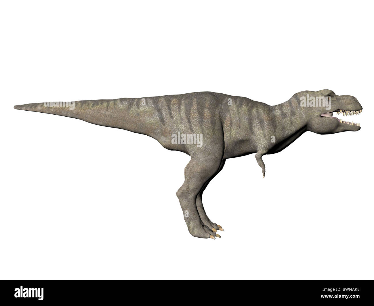 Trex Dinosaur Tyrannosaurus Rex Reptile Running Prehistoric Jurassic Animal  In Deserted Nature Environment 3d Rendering Stock Photo - Download Image  Now - iStock