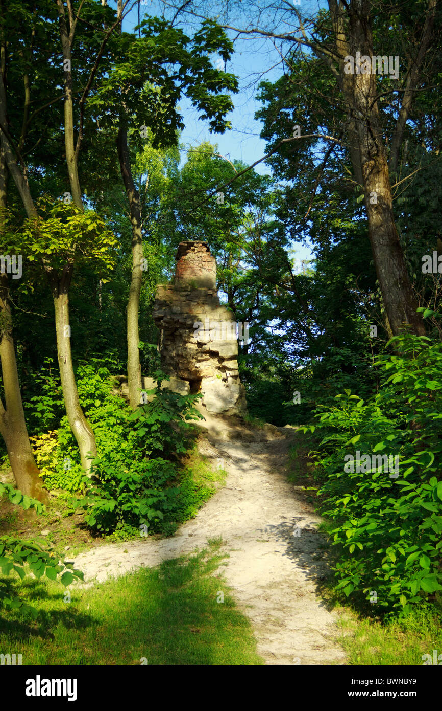 ancient civilization ruins found in jungle Stock Photo