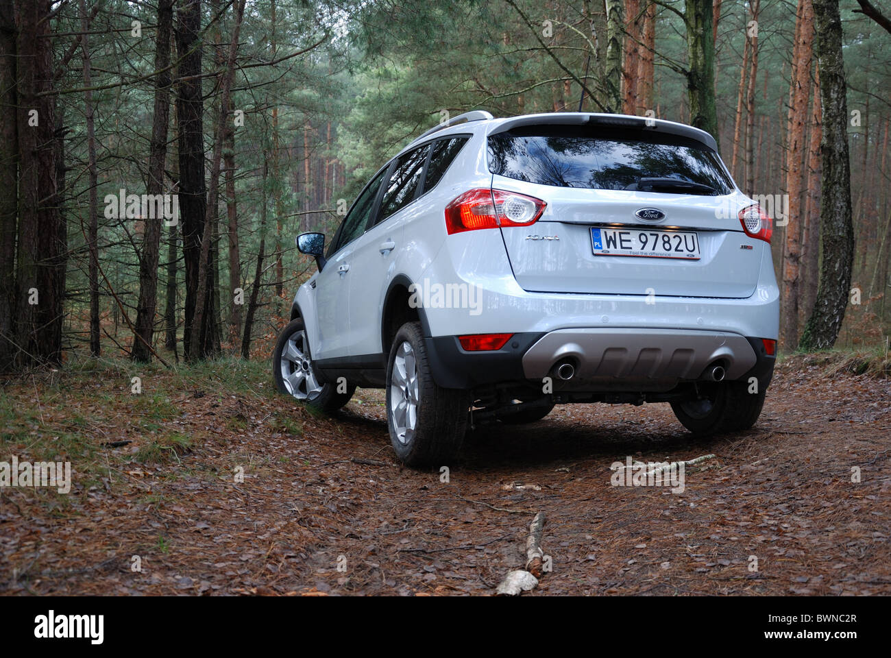 Ford Kuga 2.0 TDCI AWD - MY 2008 - white pearl metallic - five doors (5D) - Popular compact German SUV - in forest Stock Photo