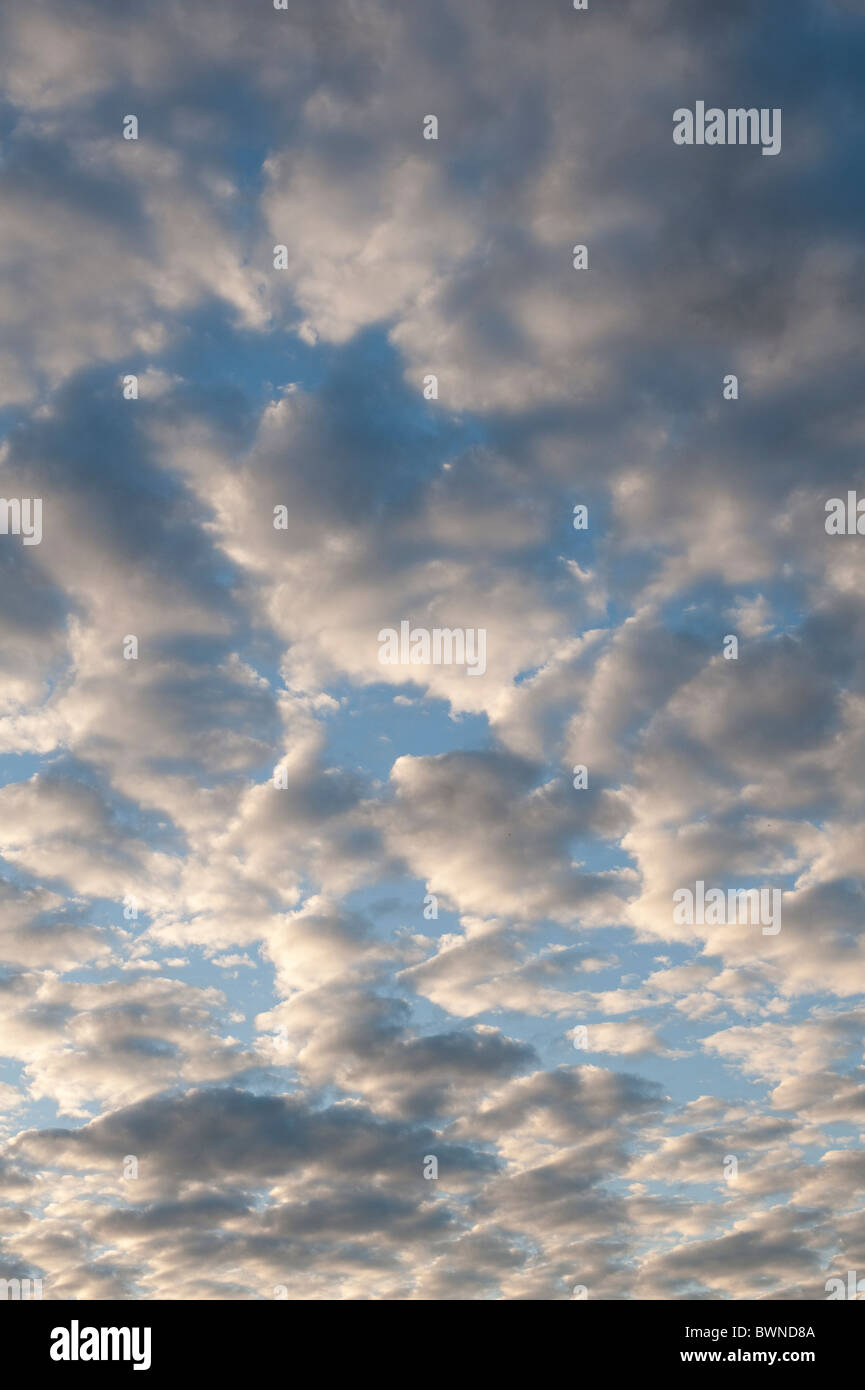 Altocumulus clouds at sunset Stock Photo