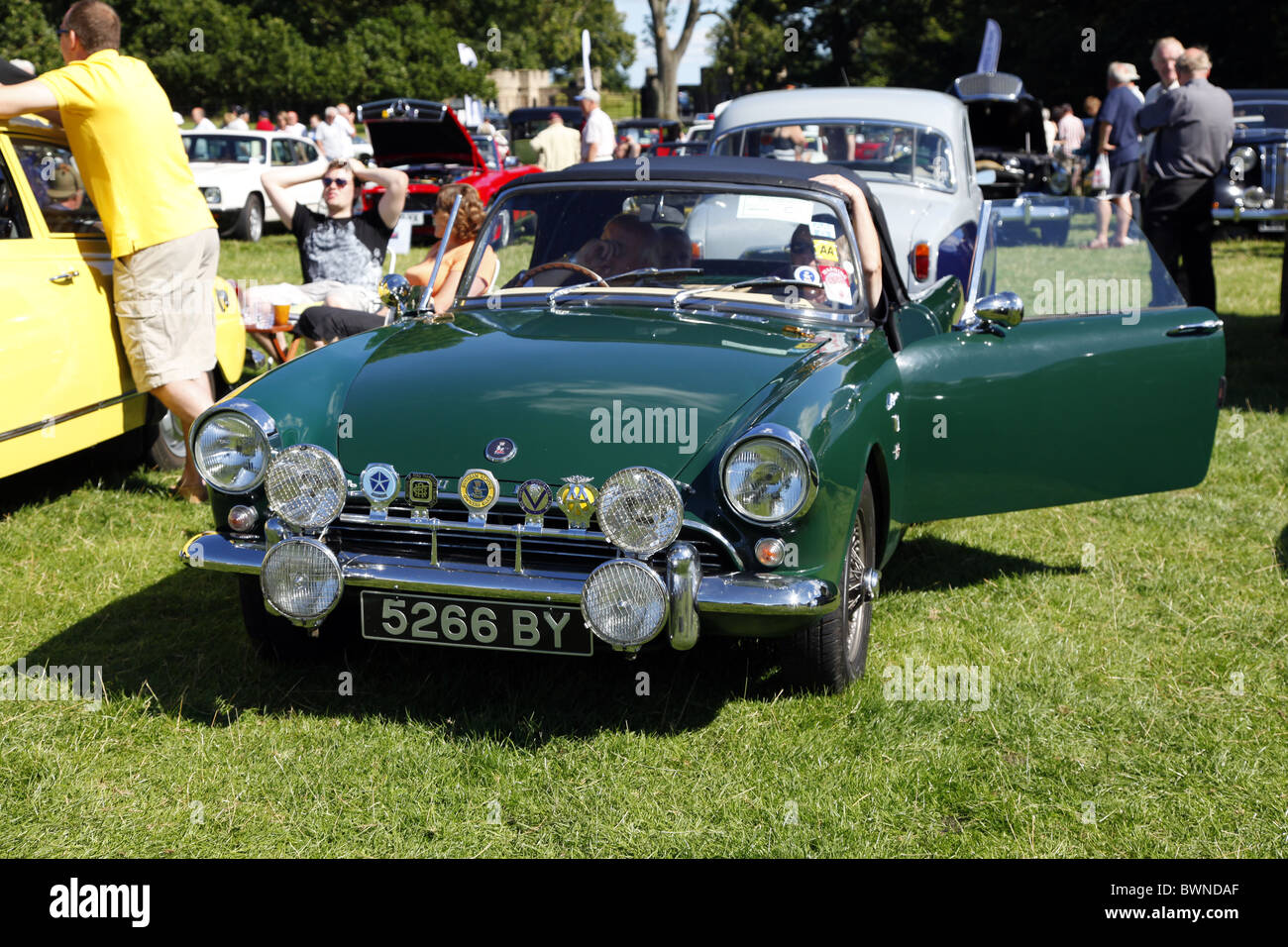 https://c8.alamy.com/comp/BWNDAF/green-sunbeam-alpine-staindrop-north-yorkshire-raby-castle-staindrop-BWNDAF.jpg