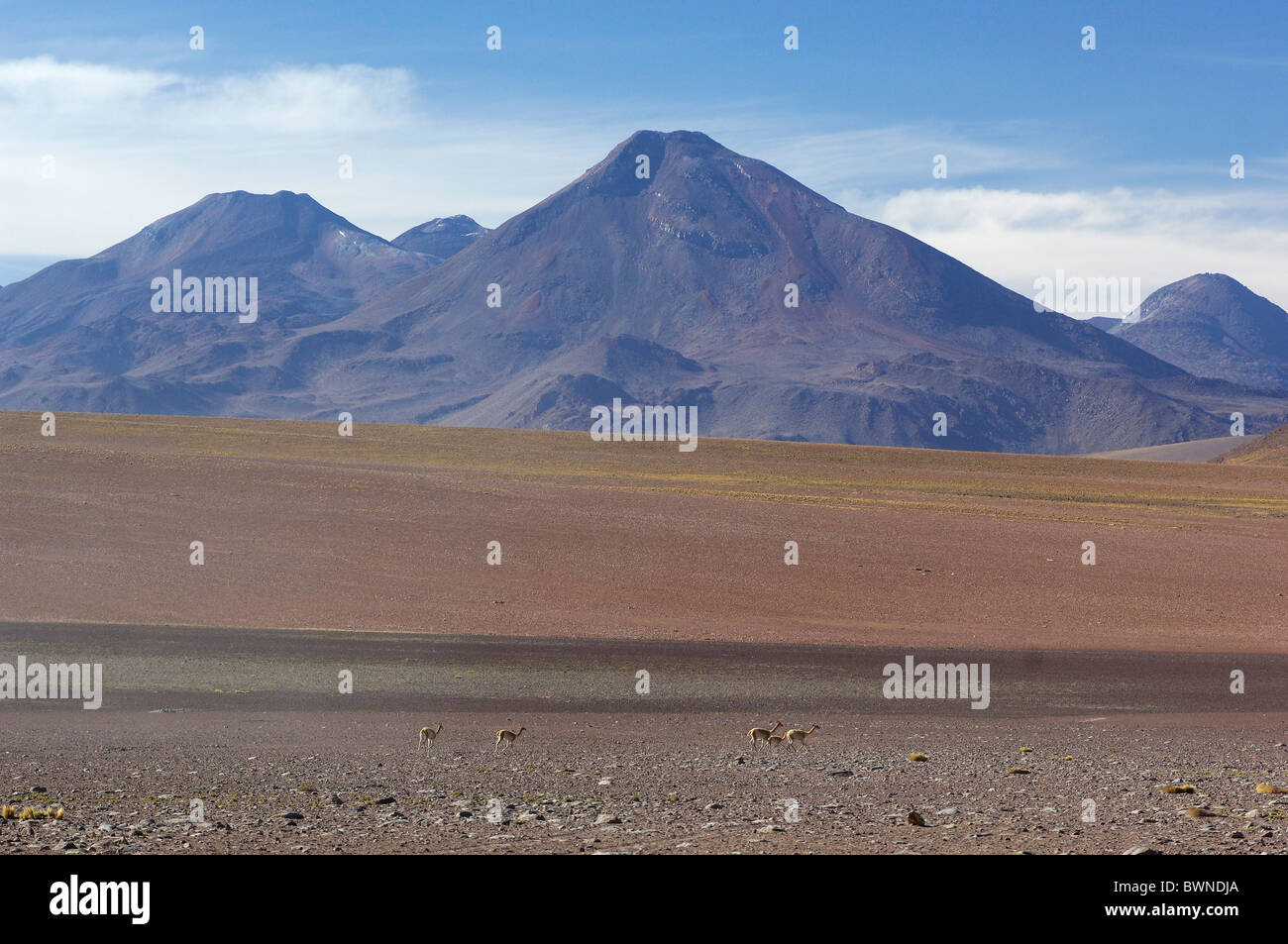Chile South America Andes mountains at Paso Vizcacha San Pedro de Atacama Altiplano Antofagasta landscape Sout Stock Photo