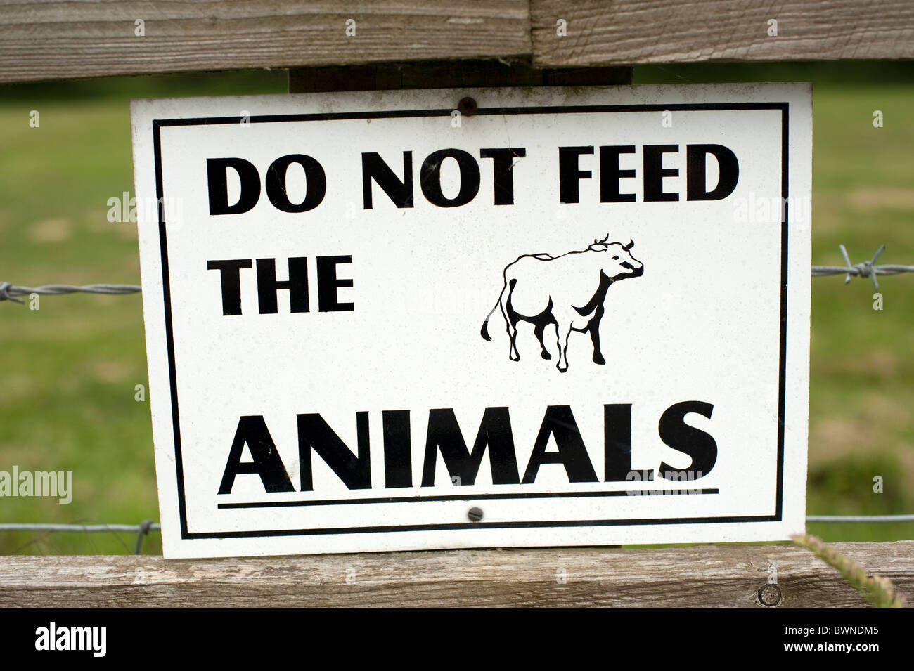 Do Not Feed The Animals Sign Stock Photo - Alamy