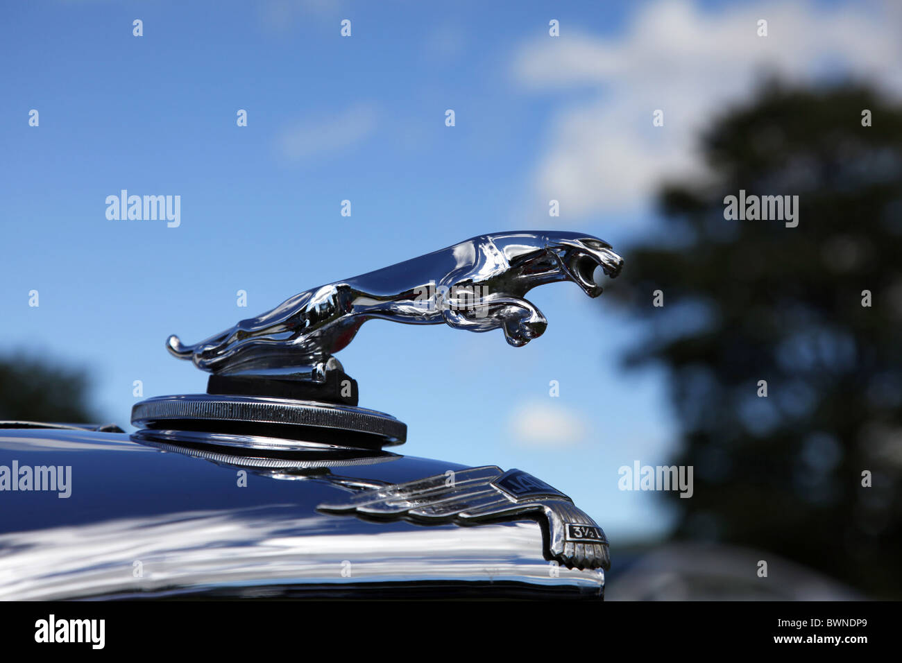 SILVER JAGUAR CAR LOGO STAINDROP NORTH YORKSHIRE RABY CASTLE STAINDROP NORTH YORKSHIRE STAINDROP NORTH YORKSHIRE 22 August 20 Stock Photo