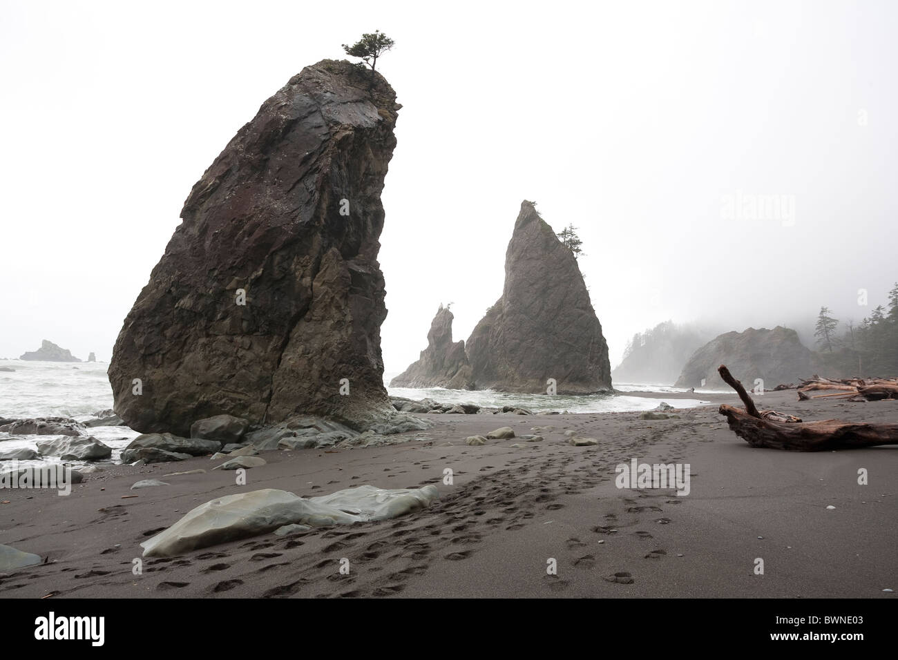 Sea Stacks at Rialto Beach - Olympic National Park, Washington Stock Photo