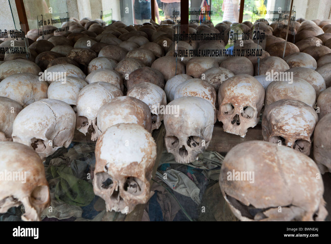 Skulls of the Khmer Rouges victims at the Killing Fields Memorial of Choeung Ek,near Phnom Pehn. Cambodia Stock Photo