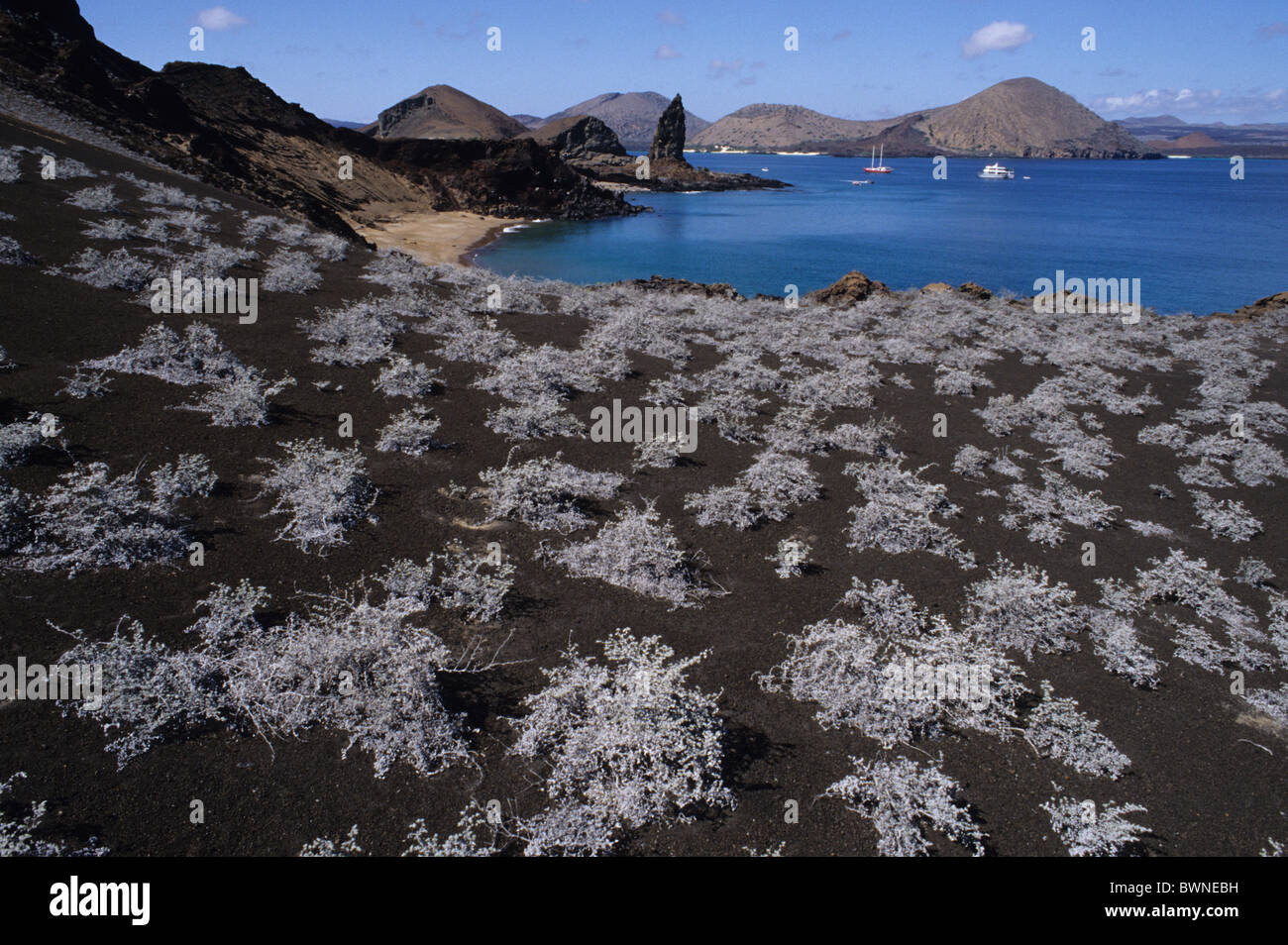 Equador Galapagos Islands Bartolome Island landscape rocks volcanic ...