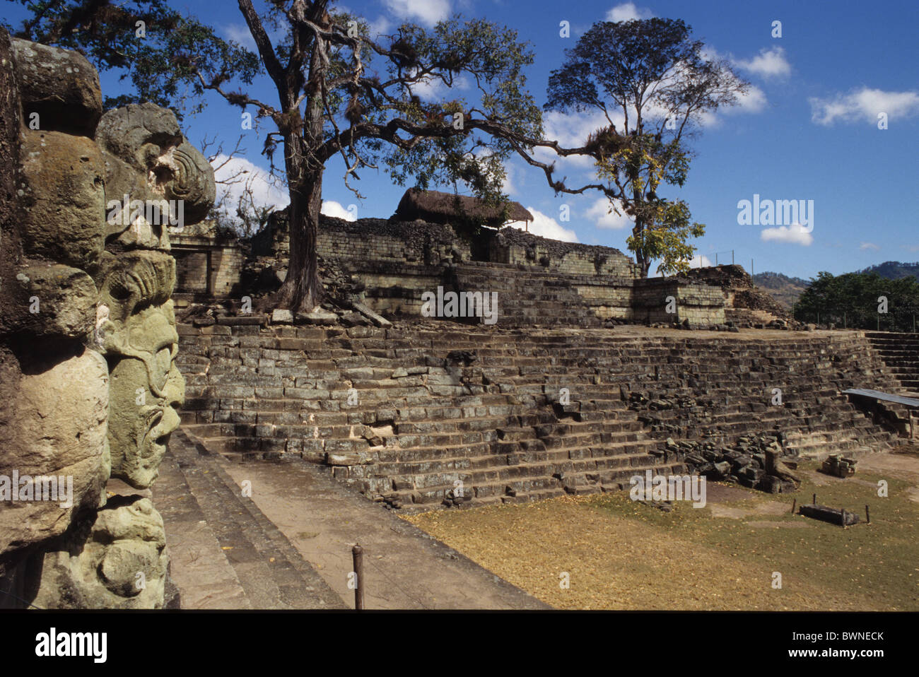 Honduras Copan ruin ruins building historic historical history Maya culture Central America archaeological s Stock Photo