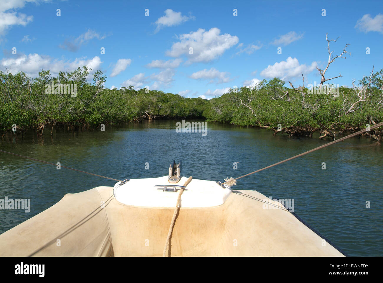 Mayotte France Europe Overseas collectivity Indian Ocean Comoros islands island landscape nature mangrove for Stock Photo