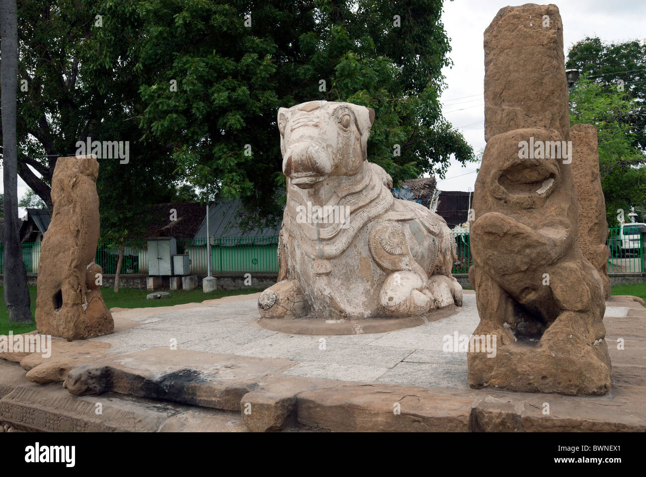 The Kailasanatha temple;nandi;simha or lion pillar; was built by the Pallavas in the early 8th century CE. in Kanchipuram. Stock Photo
