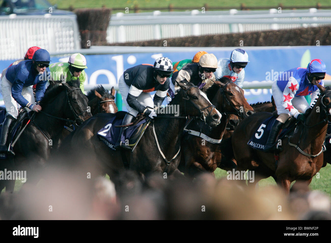 The Ballymore Properties Novices Hurdle Race on the second day of Cheltenham Races Stock Photo