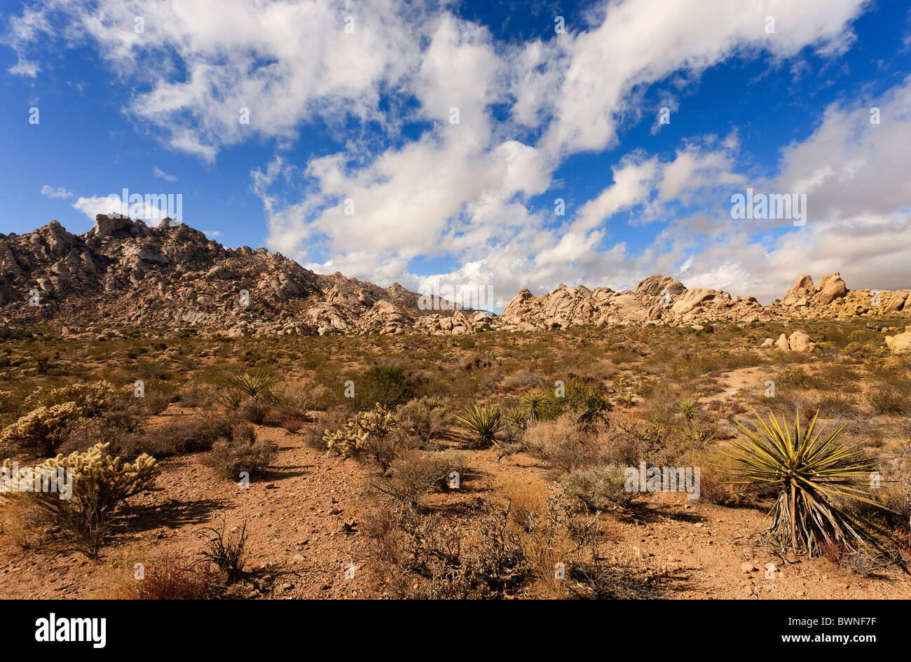 Mojave Desert, California Stock Photo