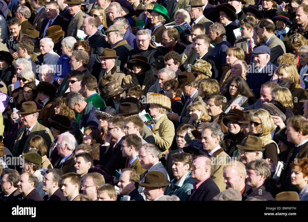 Crowds watching at cheltenham High Resolution Stock Photography and ...