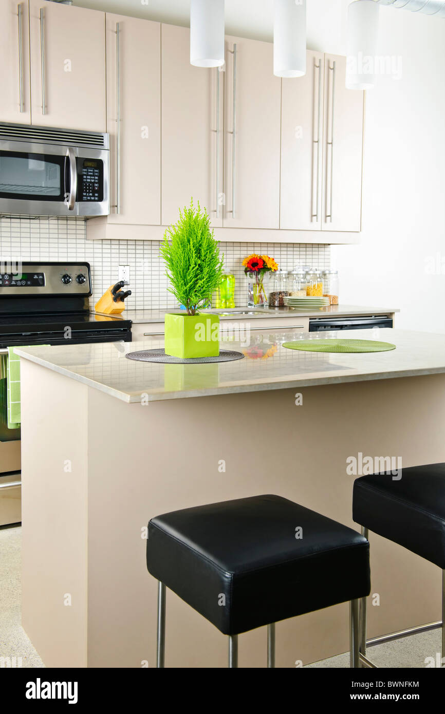 Modern kitchen interior with island and natural stone countertop Stock Photo