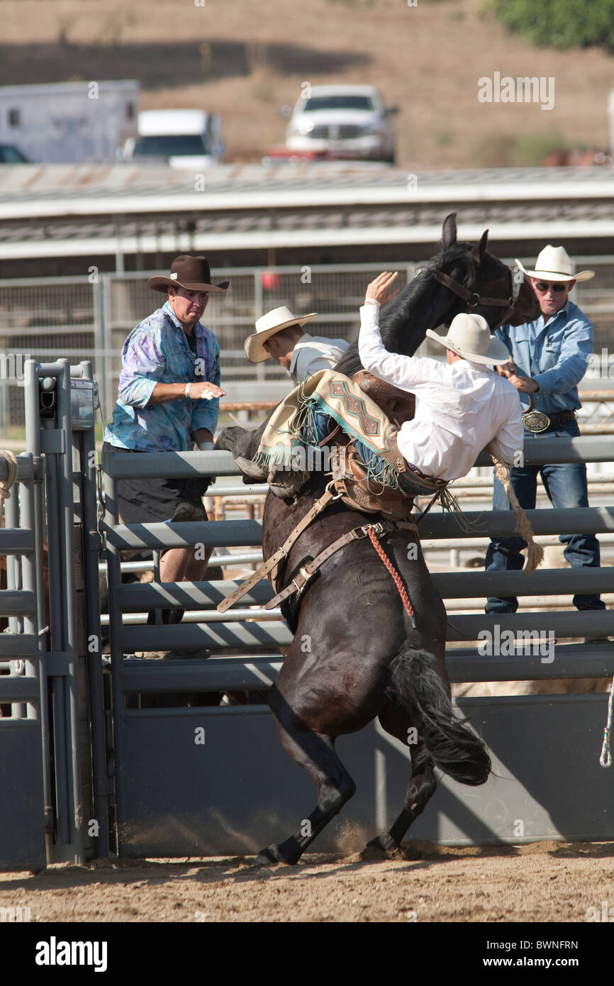 Bronc Riding PNG - Saddle Bronc Riding. - CleanPNG / KissPNG