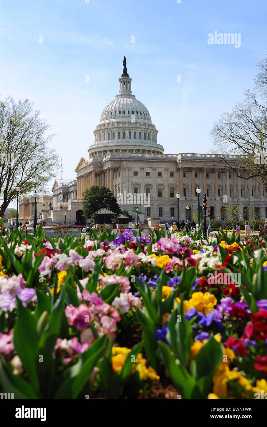 Capitol Hill Building with flowers in Washington DC. Stock Photo