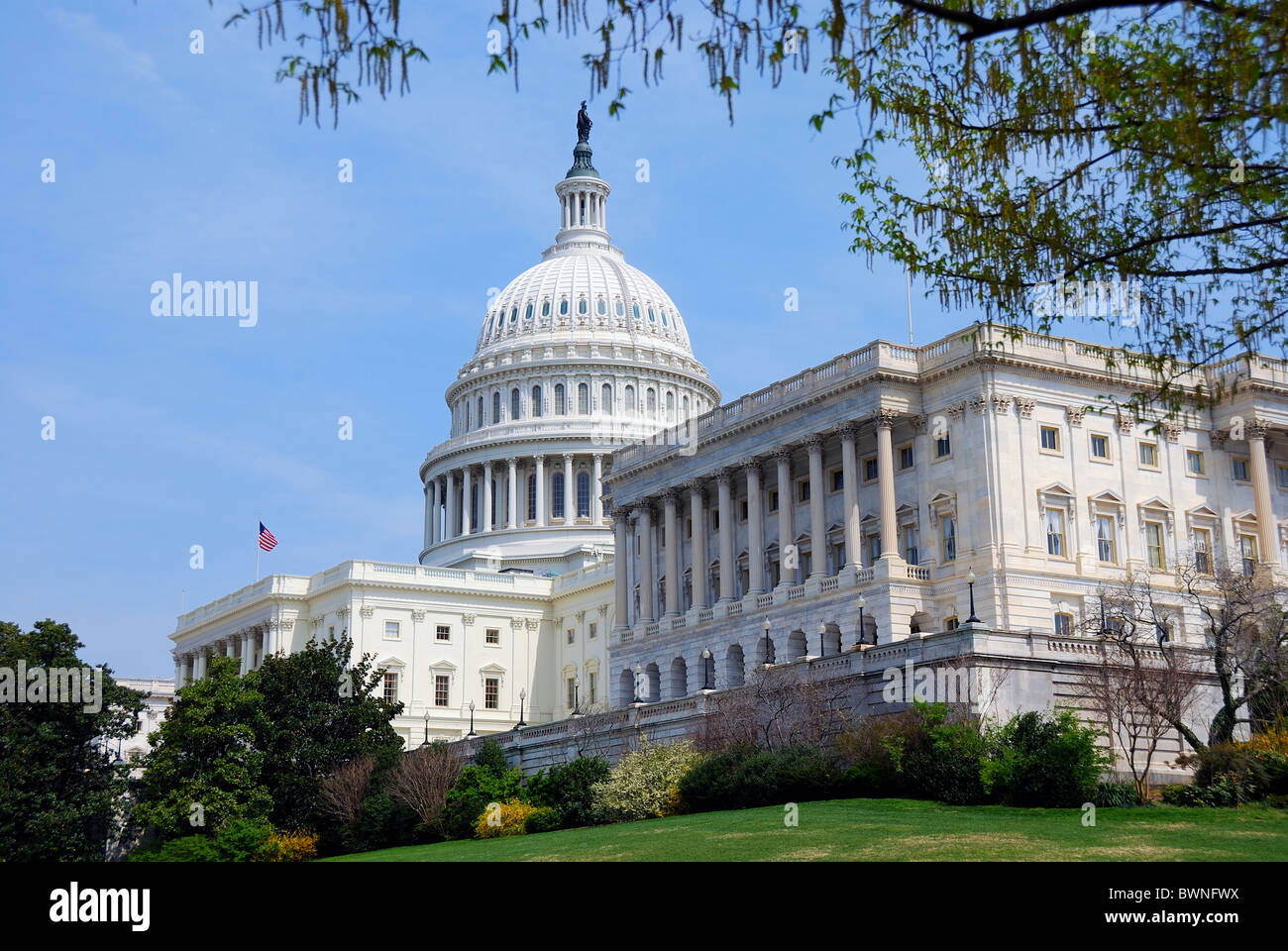 Capitol Hill Building with blue sky and trees, Washington DC. Stock Photo