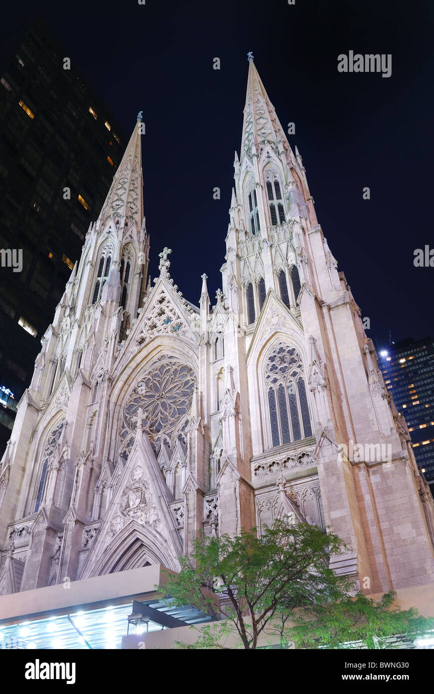 New York City Saint Patrick Cathedral on Manhattan 5th avenue at night ...