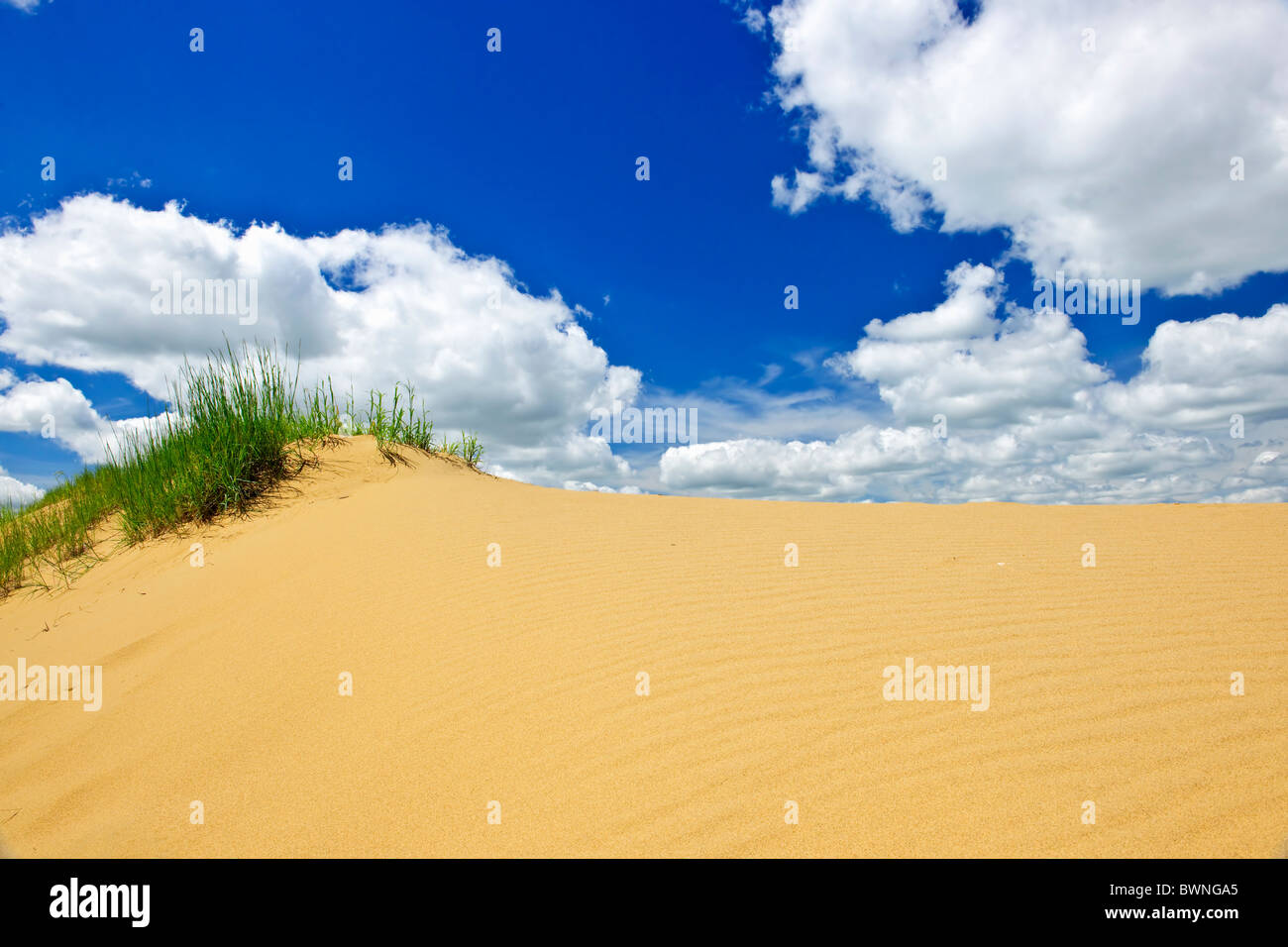 Landscape of Spirit Sands dunes in Spruce Woods Provincial Park, Manitoba, Canada Stock Photo