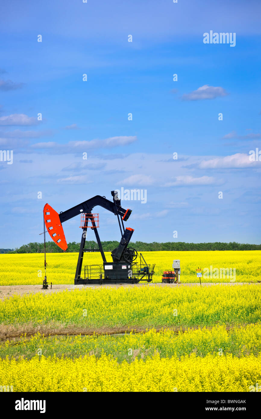 Oil pumpjack or nodding horse pumping unit in Saskatchewan prairies, Canada Stock Photo