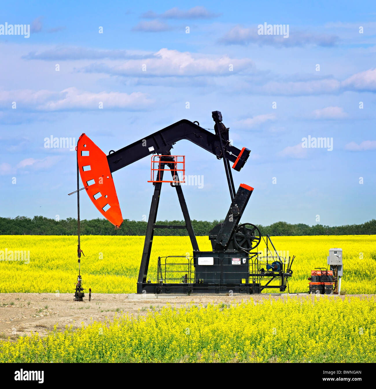 Oil pumpjack or nodding horse pumping unit in Saskatchewan prairies, Canada Stock Photo