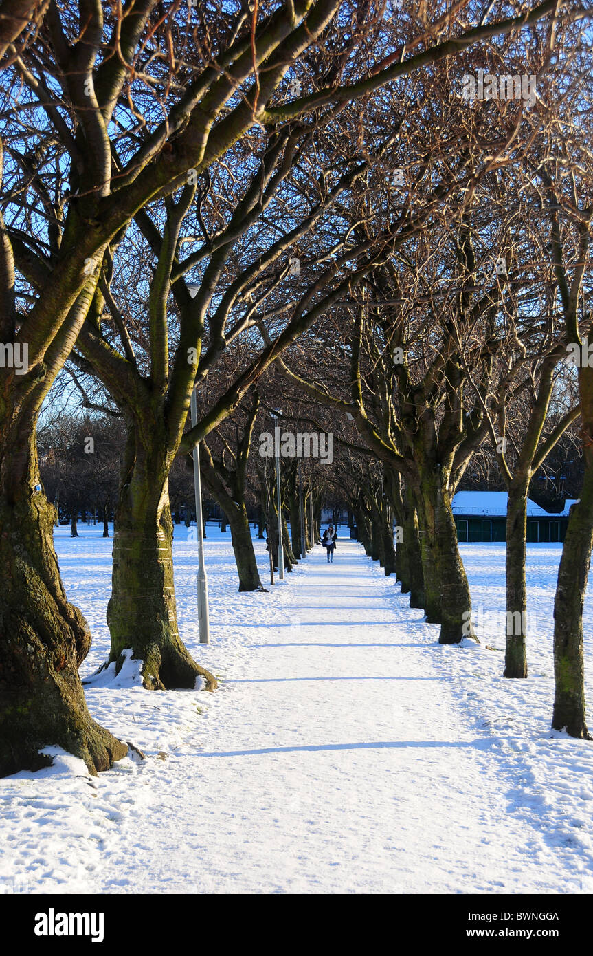 The Meadows In snow Edinburgh Scotland Stock Photo Alamy