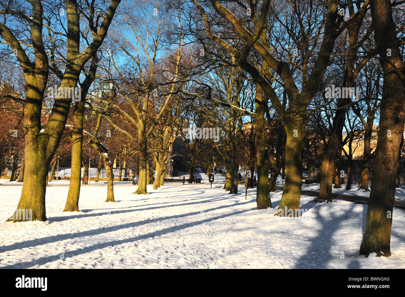 The Meadows In snow Edinburgh Scotland Stock Photo - Alamy