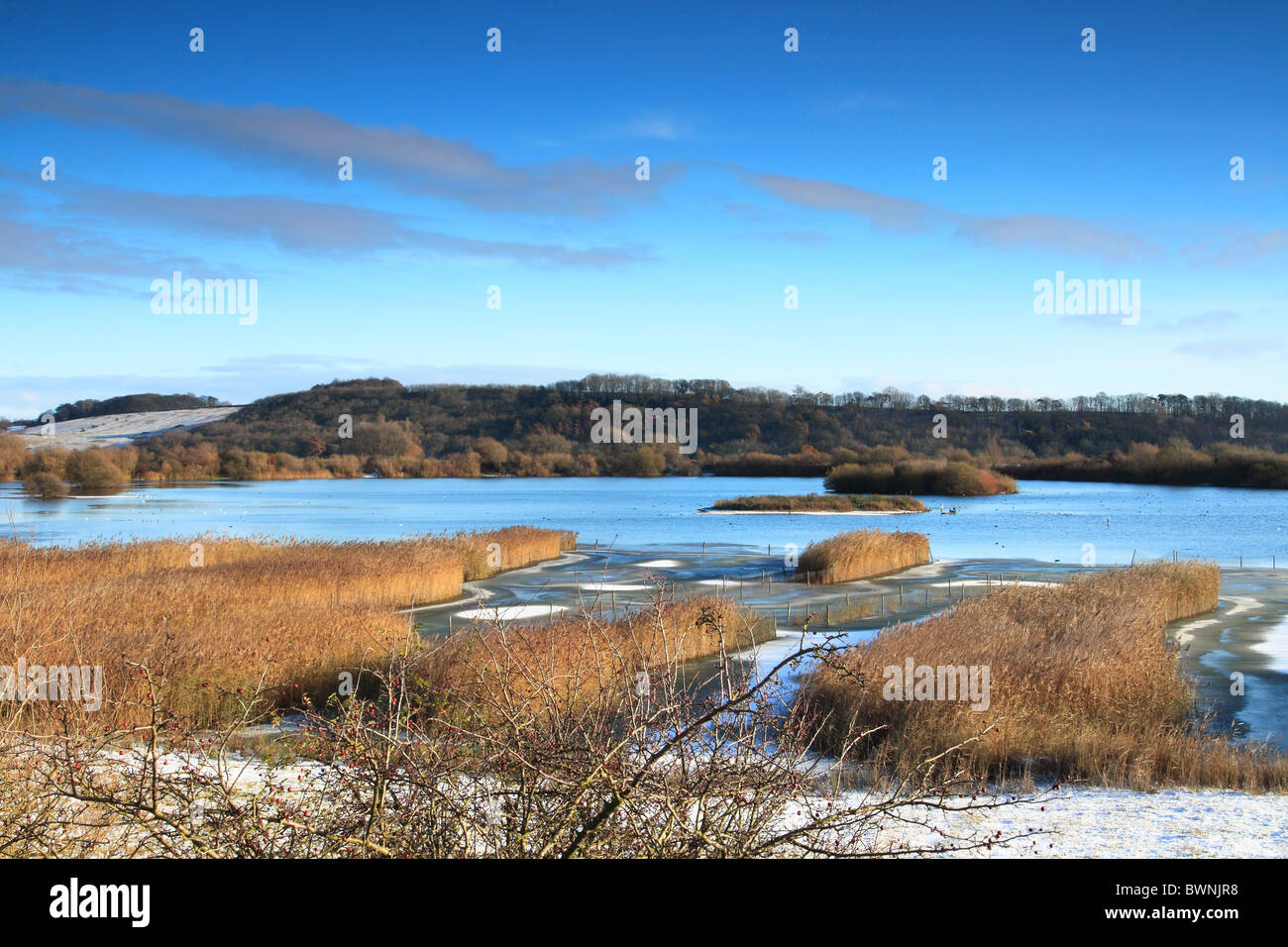 attenborough nature reserve Stock Photo Alamy