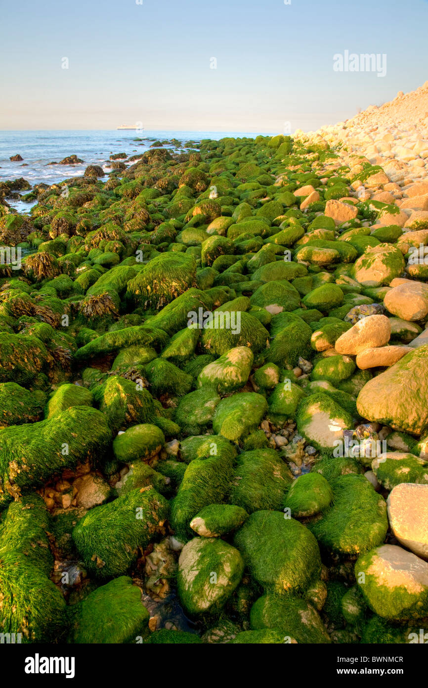 Sunrise at Saint Margaret Bay, at the famous White Cliff of Dover, Kent, England Stock Photo