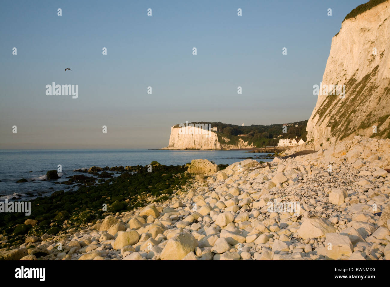 Morning at Saint Margaret Bay, at the famous White Cliff of Dover, Kent ...