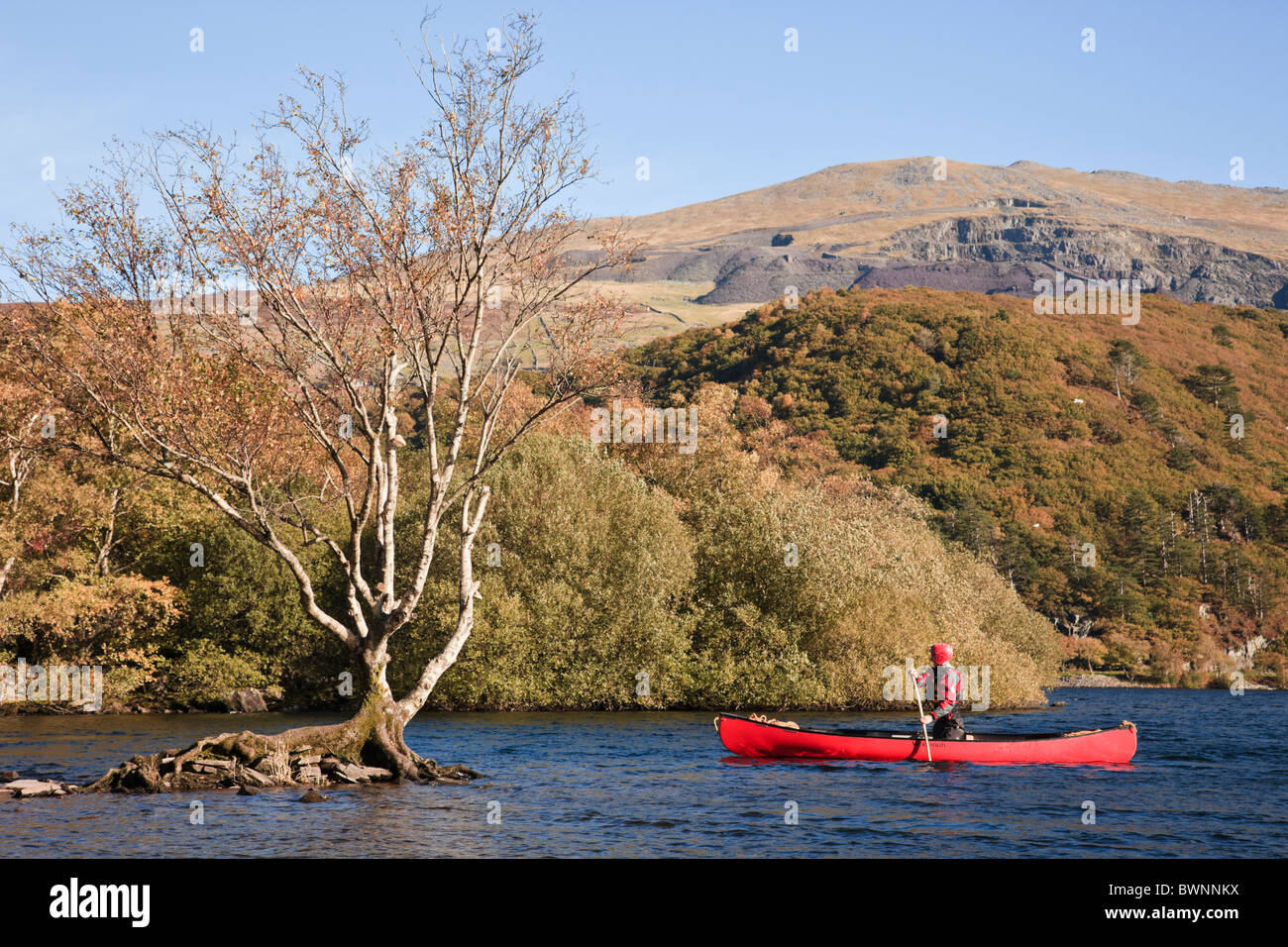 Llanberis, North Wales, UK. Man canoeing in a red Canadian canoe on