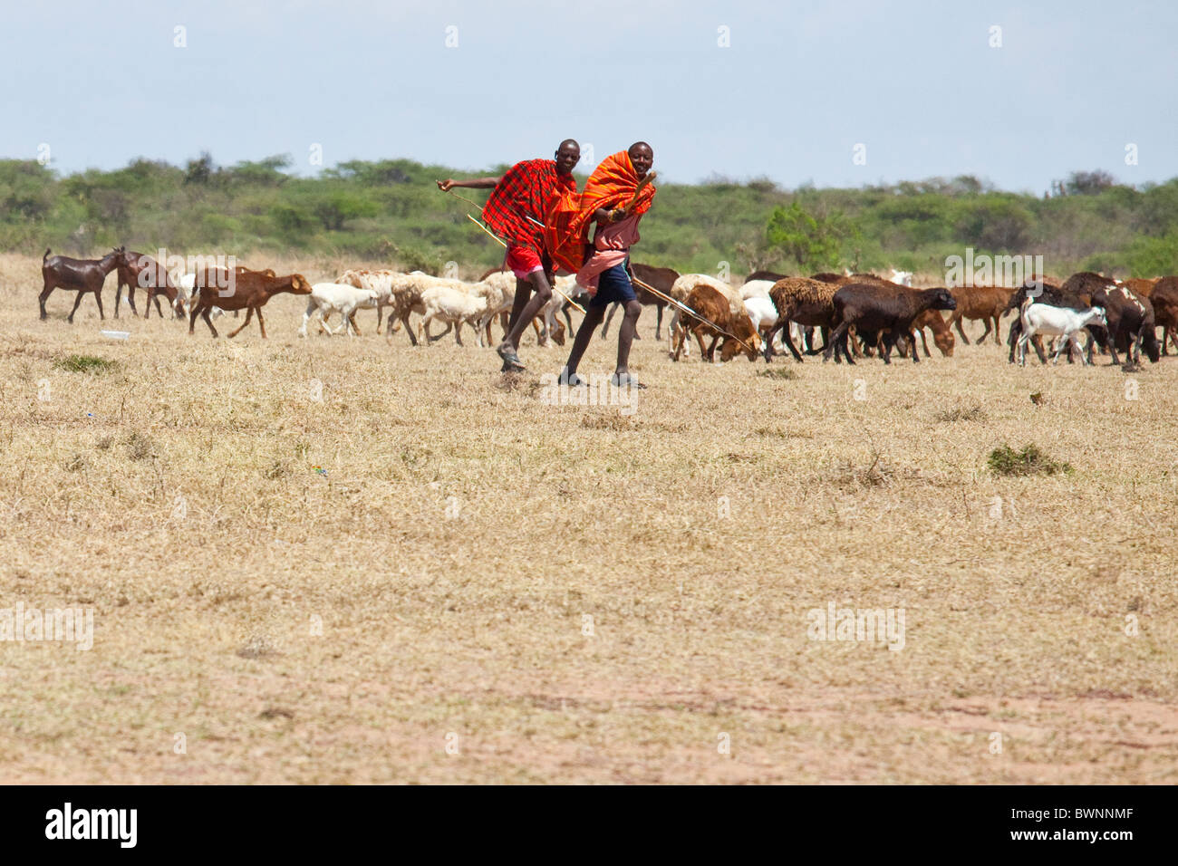Maasai herders on the Masai Mara, Kenya Stock Photo