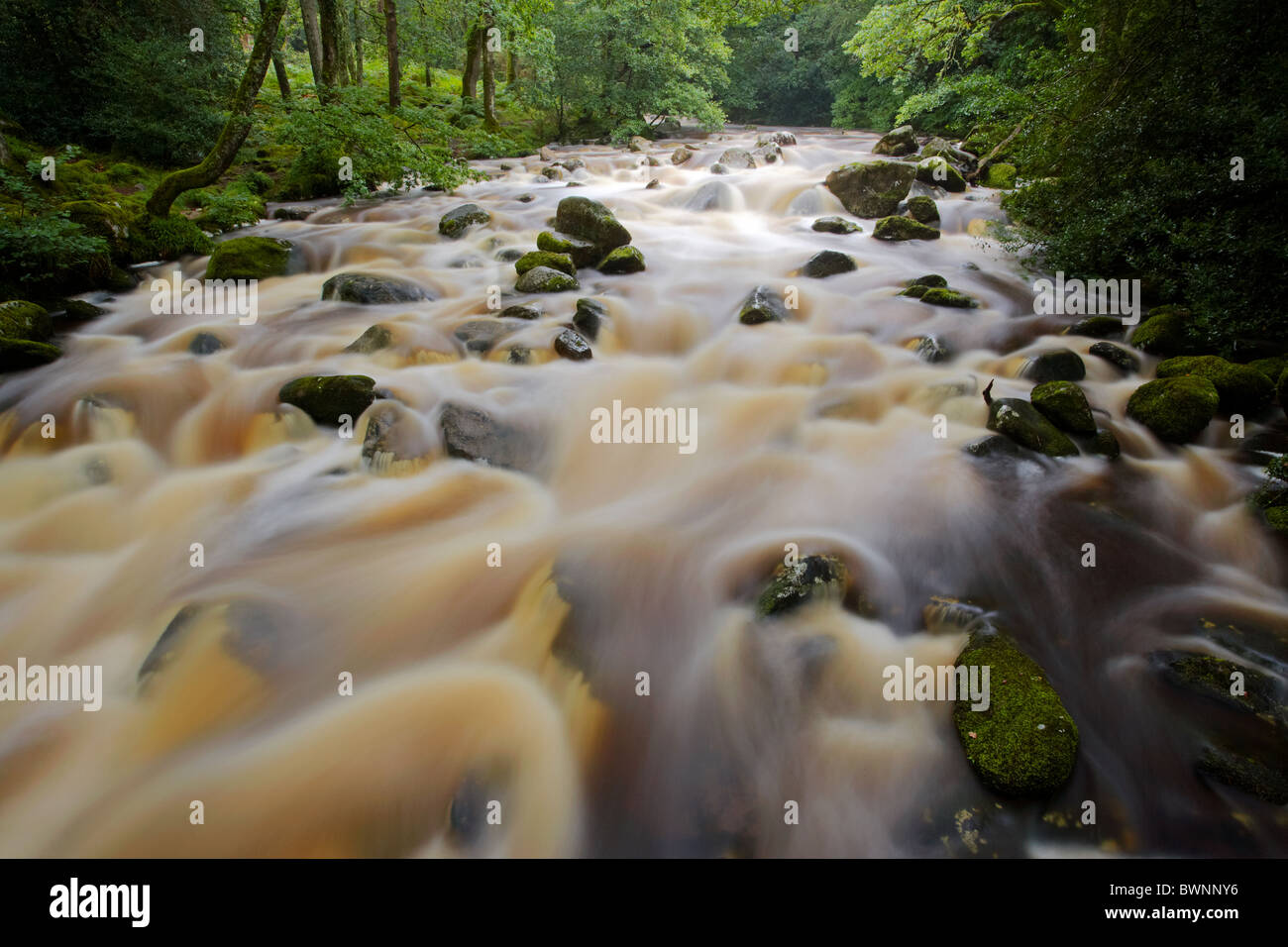 Rivecor Plm The river Plym in full flow at Shaugh Prior Dartmoor Devon UK Stock ...