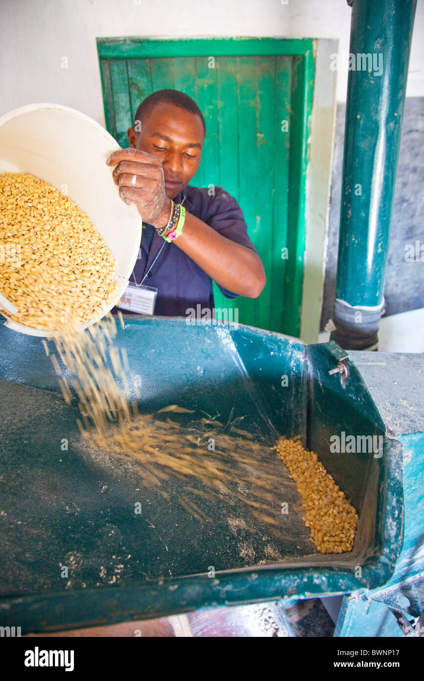 Young man grinding corn to flour in a Posho mill, Nairobi, Kenya Stock Photo