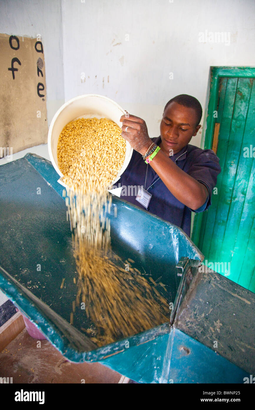 Young man grinding corn to flour in a Posho mill, Nairobi, Kenya Stock Photo
