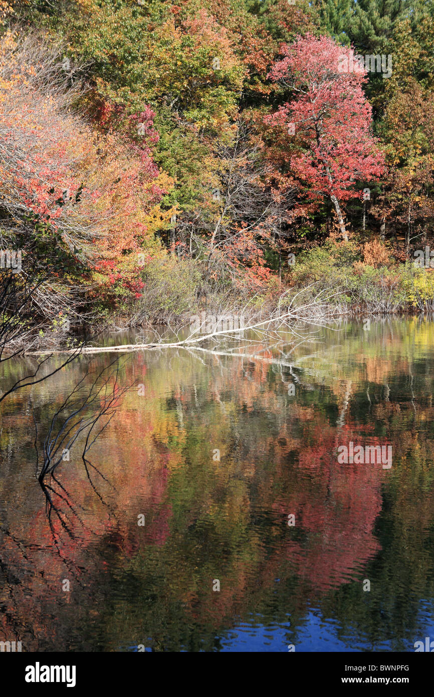 Fall colors and reflections, Walden Pond, Concord, Massachusetts, USA Stock Photo