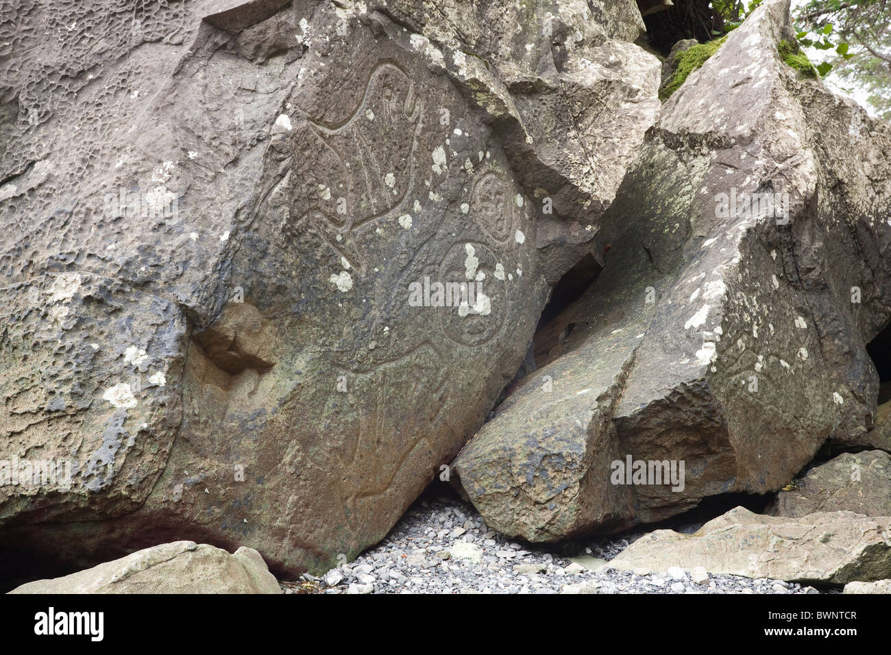 makah petroglyphs near wedding rocks ozette loop olympic national