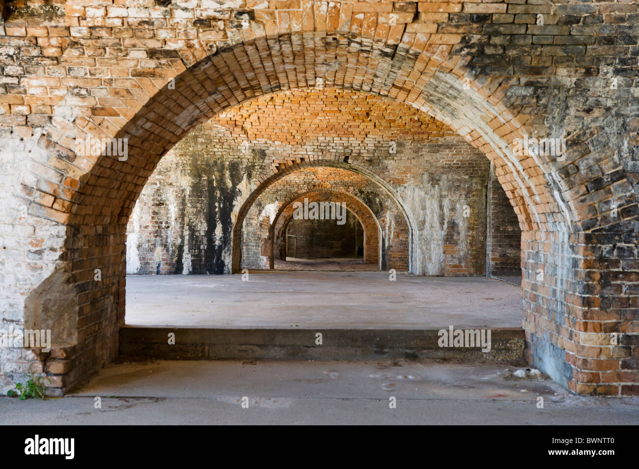 are dogs allowed at fort pickens