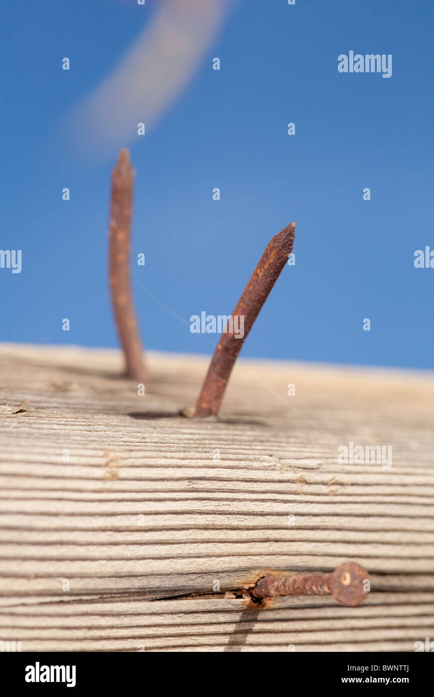 Close up vertical image of rusty nails embedded in an old 2x4 plank. Stock Photo