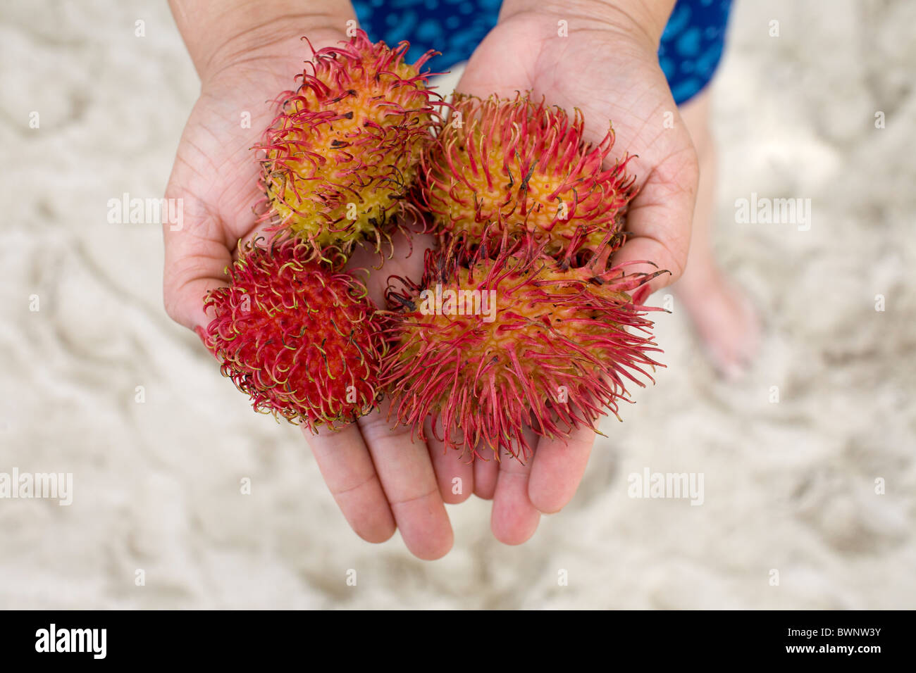 A Filipina holds rambutan fruit on Boracay Island, Philippines. Stock Photo