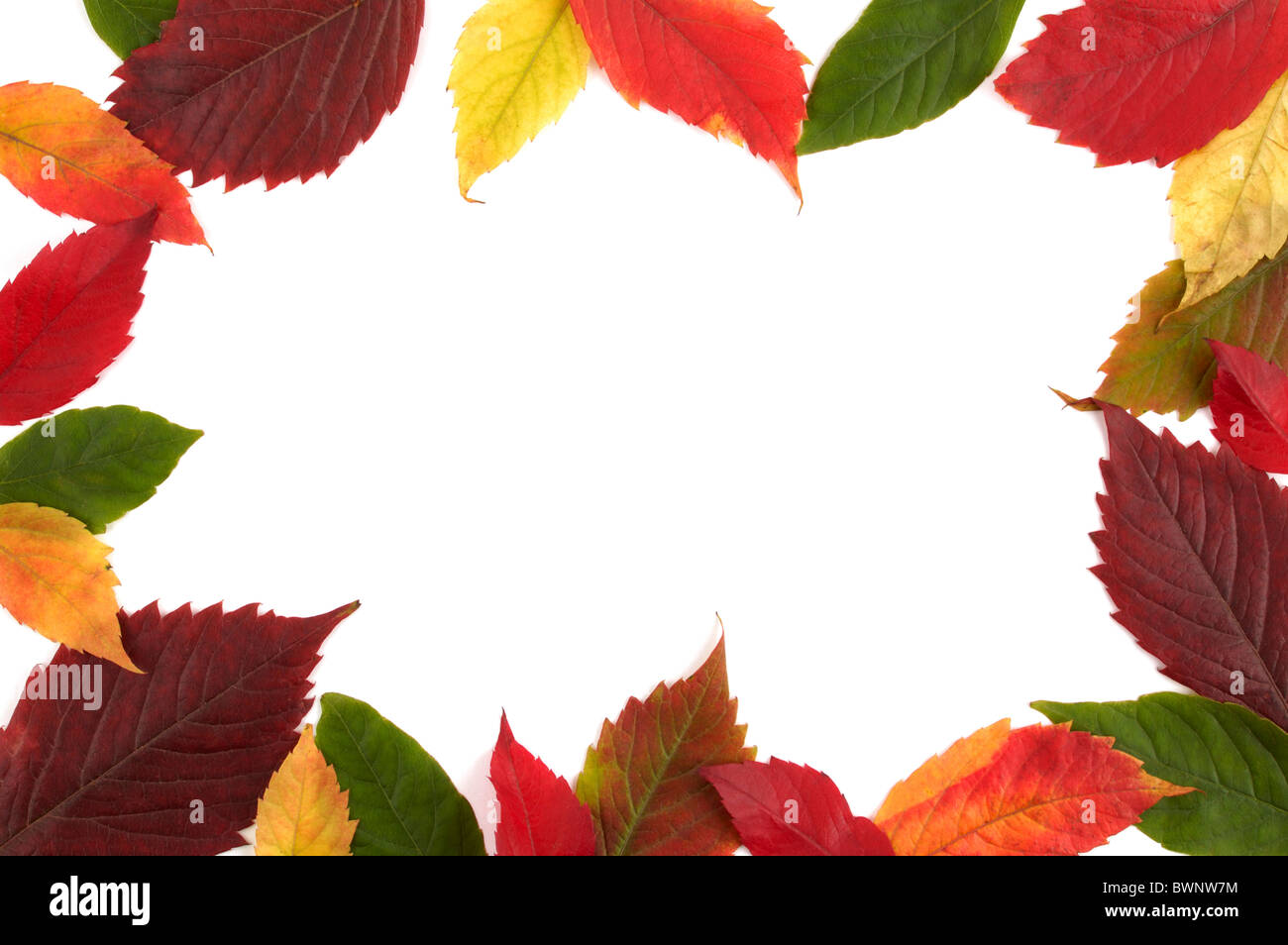 Yellow frame borders hi-res stock photography and images - Alamy