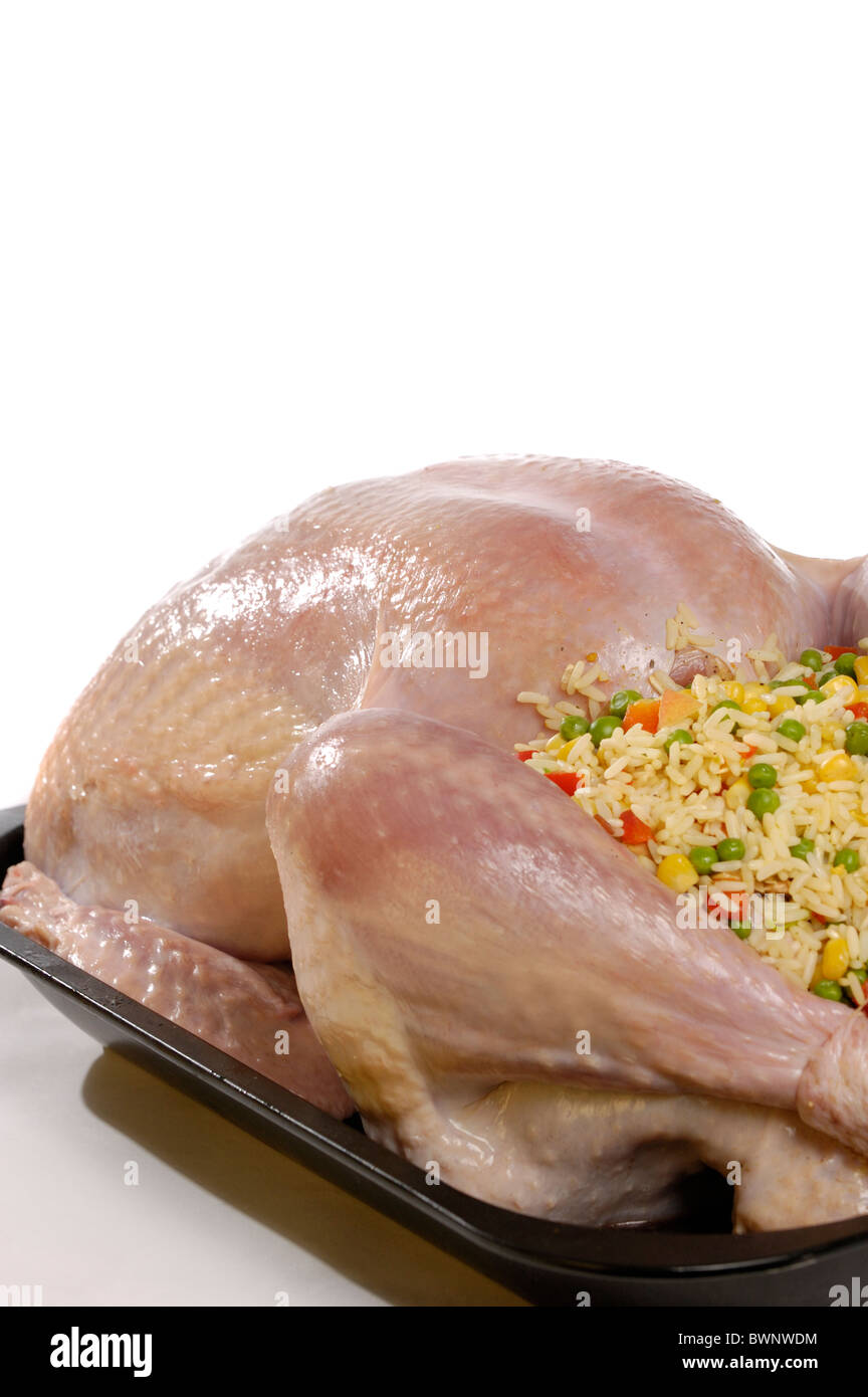 Prepared for cooking stuffed turkey in a baking tray isolated on white background Stock Photo