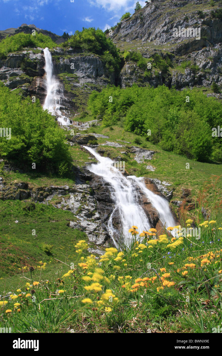 Switzerland Europe Waterfall brook stream Creek Flower Meadow Flowers Forest  Mountains Alps Landscape Natu Stock Photo - Alamy, image size:866x1390