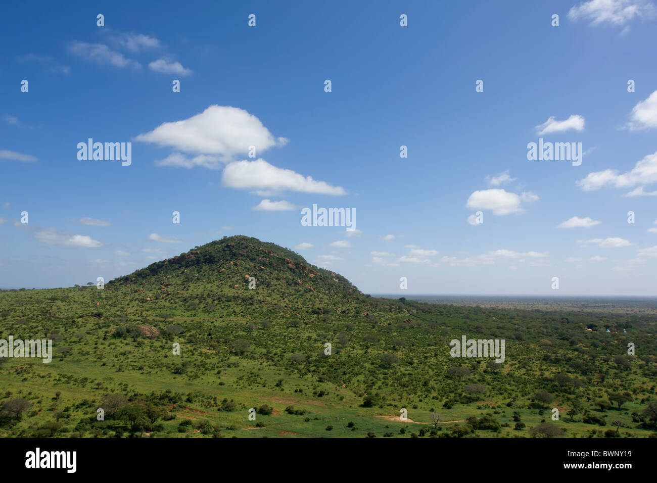 African savannah hi-res stock photography and images - Alamy